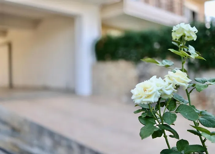 μικρό της αγγελικής με αυλή και Parking Сasa de vacaciones Kalamata